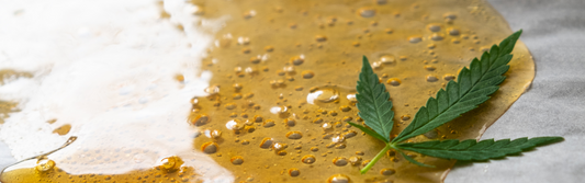 How CDA 12A is Transforming the Cannabis Extraction Industry